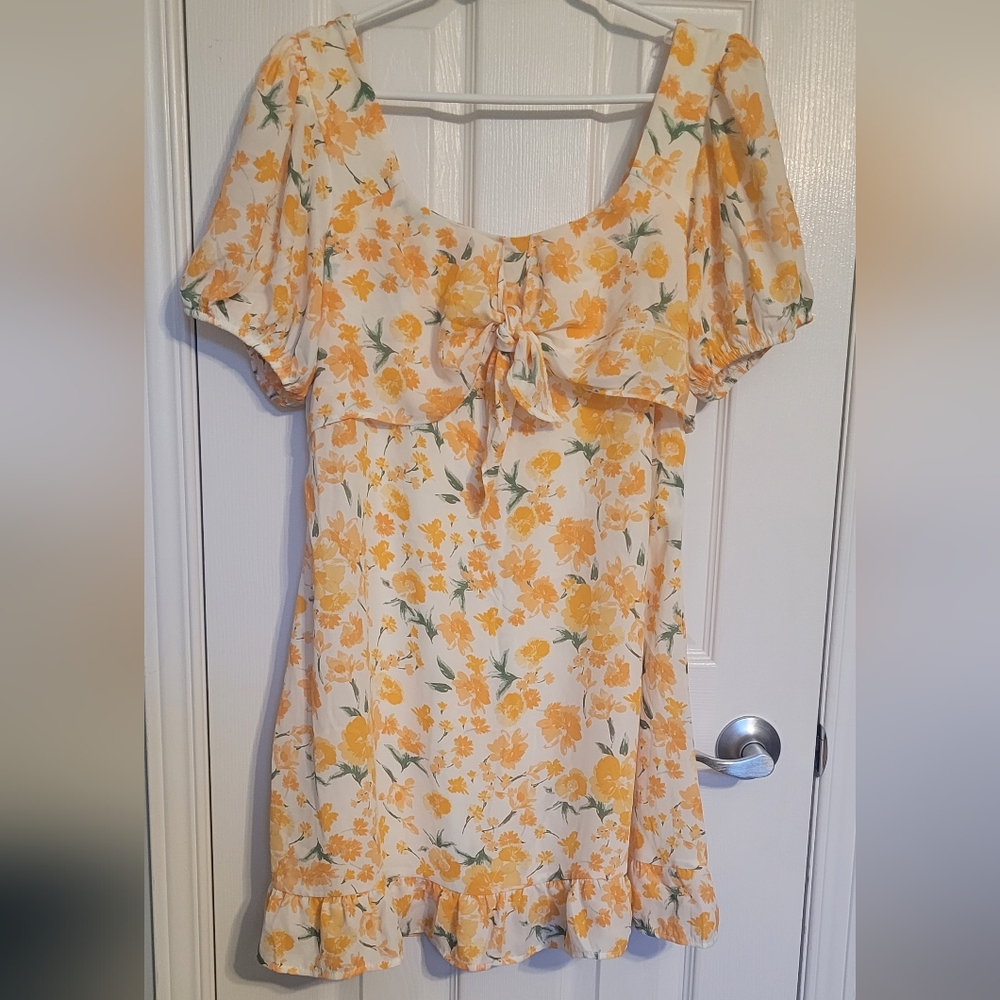 NWT Sienna Sky mini dress